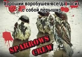 Фотографии